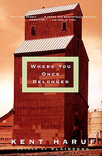 Where You Once Belonged (Vintage Contemporaries)