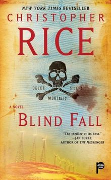 Blind Fall: A Novel