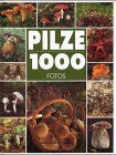 Pilze. Tausend ( 1000) Fotos