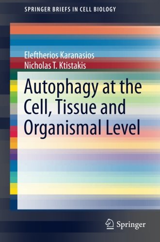 Autophagy at the Cell, Tissue and Organismal Level (SpringerBriefs in Cell Biology)