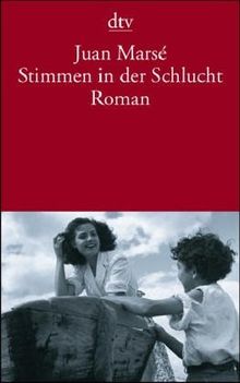 Stimmen in der Schlucht: Roman