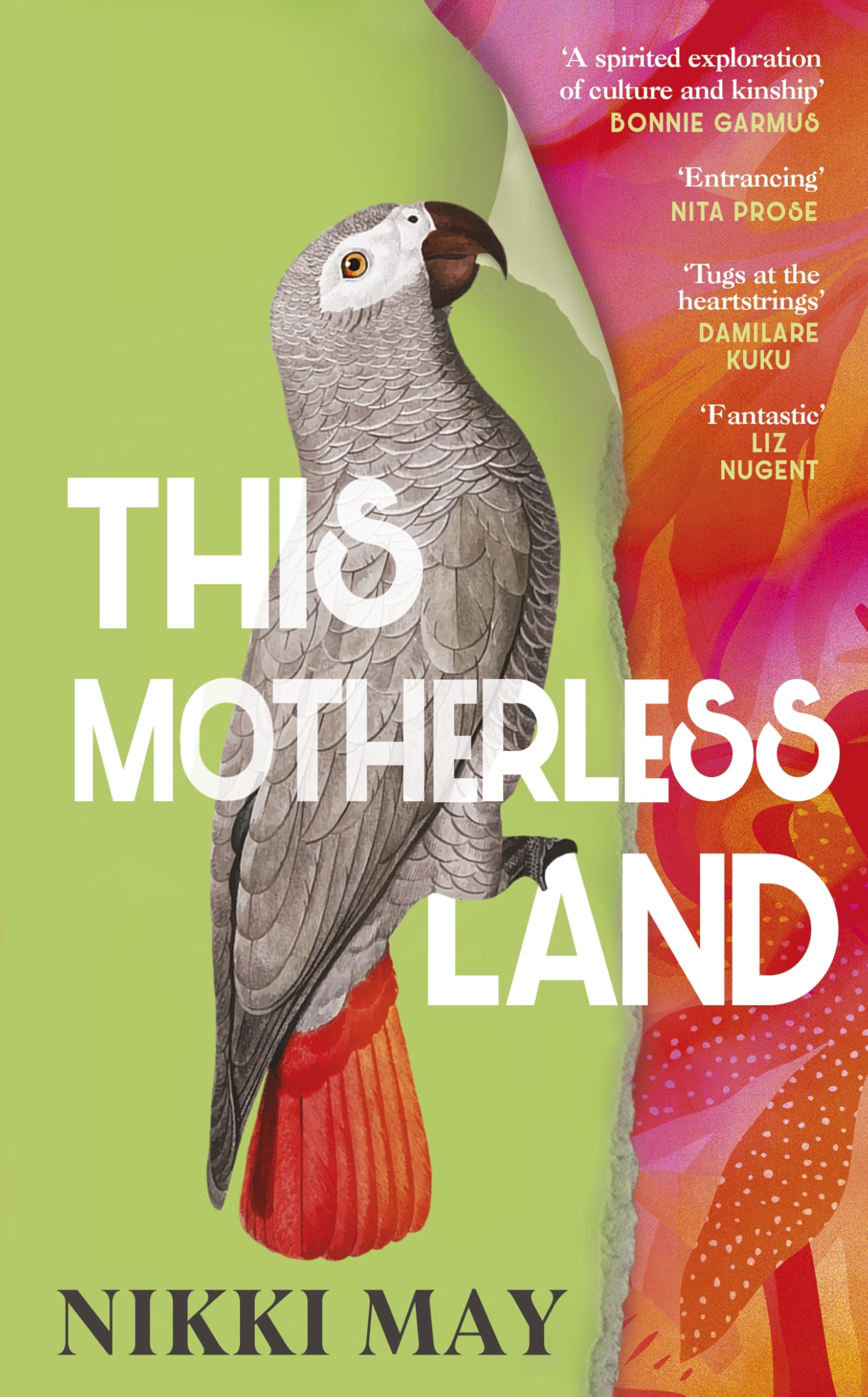 Nikki May This Motherless Land, A Powerful De-colonial Retelling Of Mansfield Park From The Award-winning Author Of Wahala