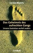 Das Geheimnis des aufrechten Gangs: Unsere Evolution verlief anders