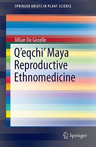Q'eqchi' Maya Reproductive Ethnomedicine (SpringerBriefs in Plant Science)