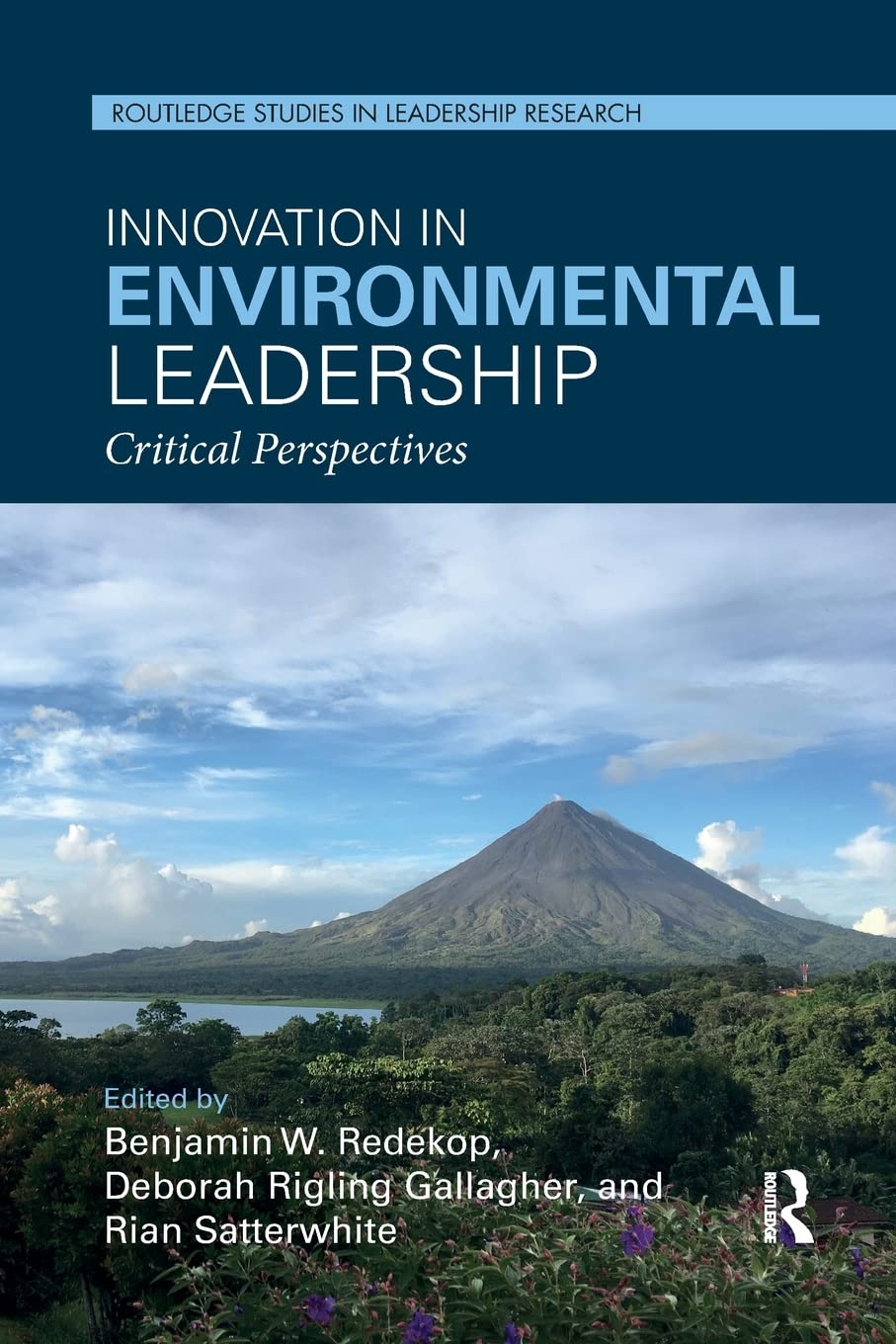 Innovation in Environmental Leadership: Critical Perspectives (Routledge Studies in Leardership Research, 9, Band 9)