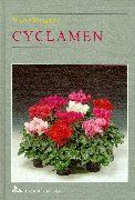 Cyclamen