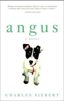 Angus