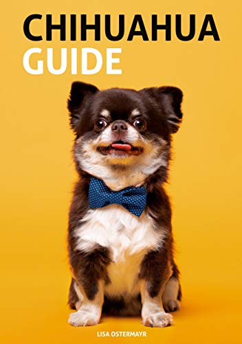 Chihuahua Guide