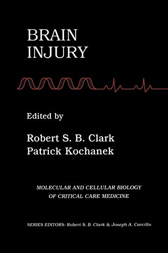 Brain Injury (Molecular & Cellular Biology of Critical Care Medicine, 2, Band 2)