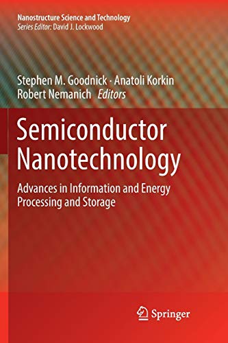 Semiconductor Nanotechnology: Advances in Information and Energy Processing and Storage (Nanostructure Science and Technology)
