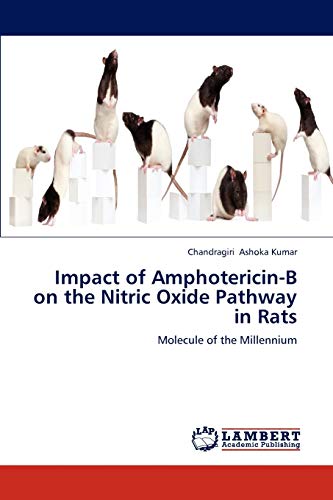 Impact of Amphotericin-B on the Nitric Oxide Pathway in Rats: Molecule of the Millennium