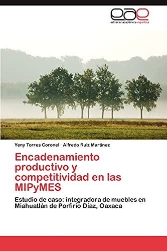 Encadenamiento productivo y competitividad en las MIPyMES: Estudio de caso: integradora de muebles en Miahuatlán de Porfirio Díaz, Oaxaca
