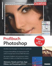 Profibuch Photoshop: Aktionen, Panels und Foto-App-Effekte mit Photoshop CS 5.5