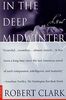 In the Deep Midwinter: A Novel