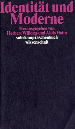 Identität und Moderne Taschenbuch