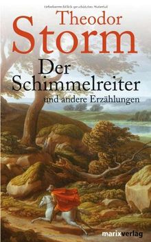 Der Schimmelreiter: und andere Novellen