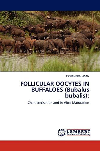 FOLLICULAR OOCYTES IN BUFFALOES (Bubalus bubalis):: Characterisation and In-Vitro Maturation
