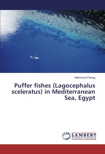 Puffer fishes (Lagocephalus sceleratus) in Mediterranean Sea, Egypt