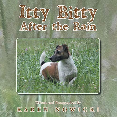 Itty Bitty After the Rain