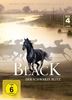 Black - Der schwarze Blitz - Box 4 [4 DVDs]