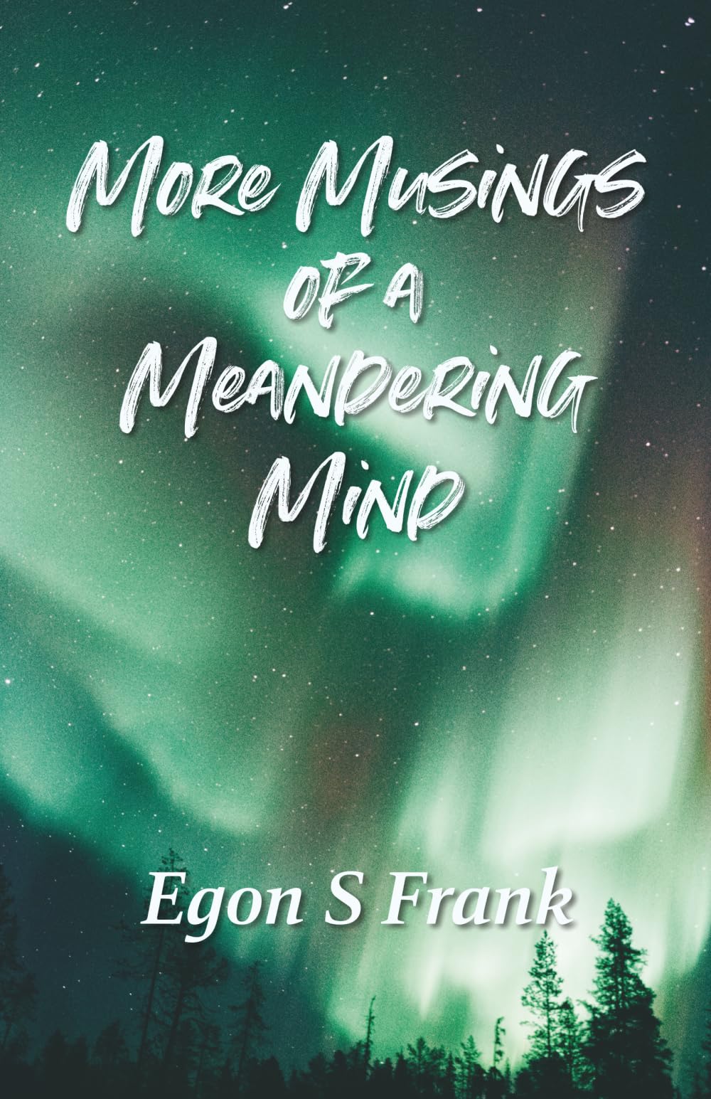 More Musings of a Meandering Mind: A Collection of Short Stories