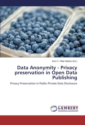 Data Anonymity - Privacy preservation in Open Data Publishing: Privacy Preservation in Public-Private Data Disclosure