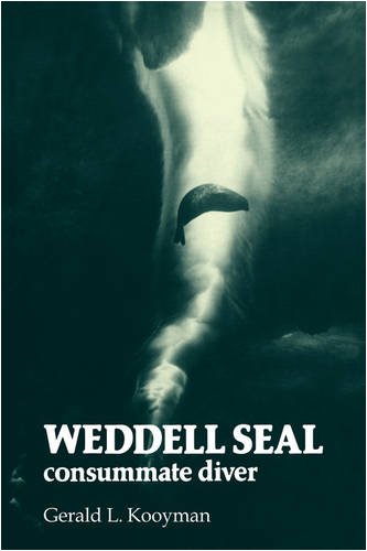 Gerald Kooyman Weddell Seal, Consummate Diver
