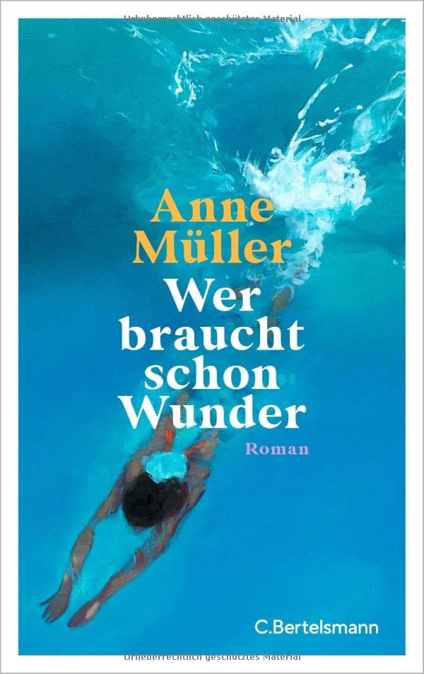 Wer braucht schon Wunder - Anne Müller Gebunden