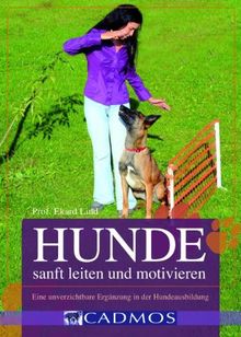 Hunde sanft leiten und motivieren: Eine unverzichtbare Ergänzung in der Hundeausbildung