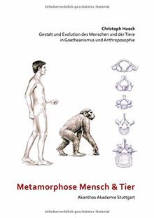 Metamorphose Mensch und Tier: Gestalt und Evolution des Menschen und der Tiere in Goetheanismus und Anthroposophie