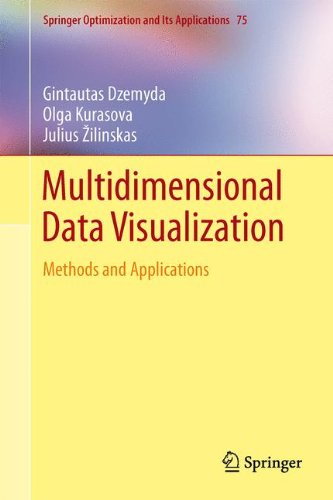 Multidimensional Data Visualization: Methods and Applications (Springer Optimization and Its Applications)