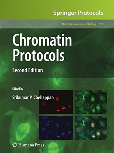 Chromatin Protocols (Methods in Molecular Biology)