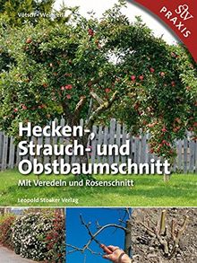 Hecken-, Strauch- und Obstbaumschnitt: Mit Veredeln und Rosenschnitt - Praxisbuch