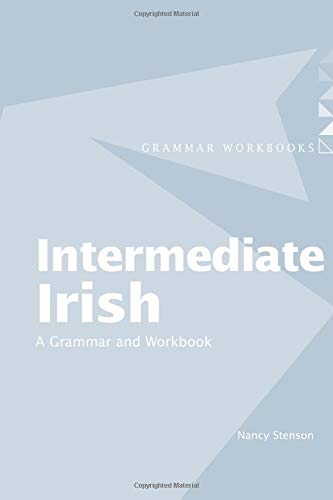 Intermediate Irish: A Grammar and Workbook (Routledge Grammar Workbooks)
