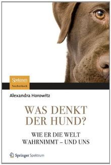 Was denkt der Hund?: Wie er die Welt wahrnimmt - und uns