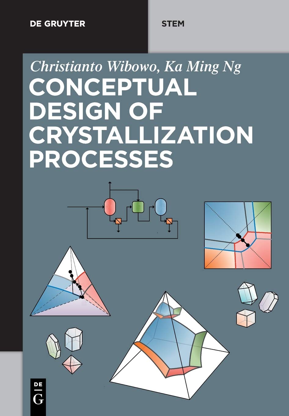Conceptual Design of Crystallization Processes (De Gruyter STEM)