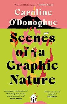 Scenes of a Graphic Nature: 'A perfect page-turner' (Dolly Alderton) from the bestselling author of The Rachel Incident