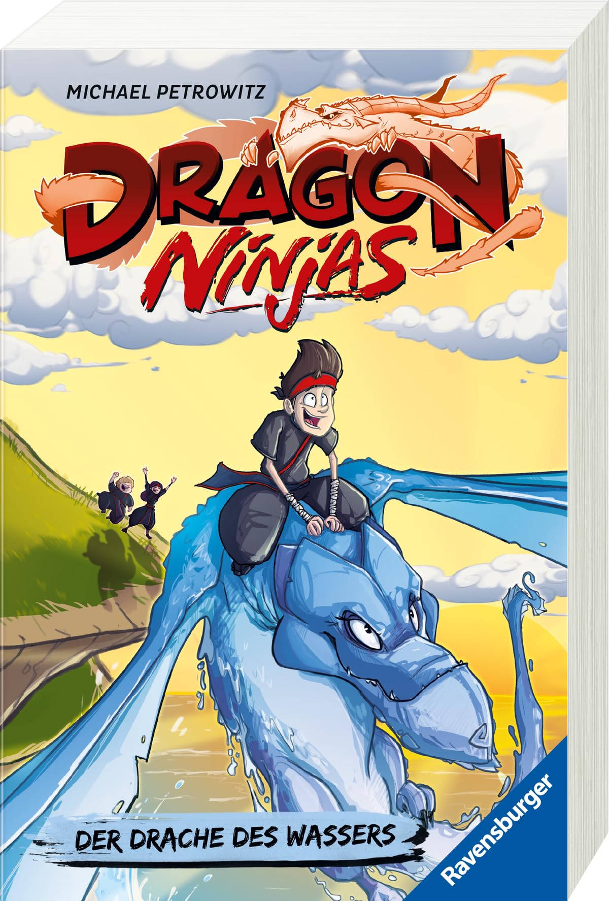 Dragon Ninjas, Band 6: Der Drache des Wassers - Drachenstarkes Kinderbuch ab 8 Jahre - Cooles Geschenk für Jungs und Mädchen (Dragon Ninjas, 6)
