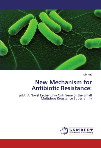 New Mechanism for Antibiotic Resistance:: ynfA, A Novel Escherichia Coli Gene of the Small Multidrug Resistance Superfamily
