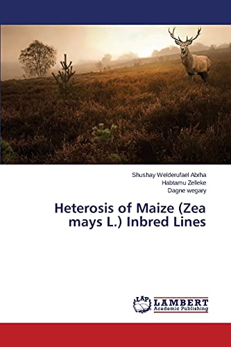 Heterosis of Maize (Zea mays L.) Inbred Lines