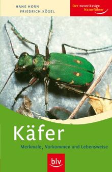 Käfer: Merkmale, Vorkommen, Lebensweise