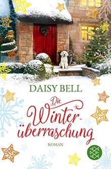 Die Winterüberraschung: Roman