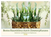 Bestes Raumklima durch Zimmerpflanzen (Wandkalender 2026 DIN A4 quer),  CALVENDO Monatskalender: Beliebte Grn- und Blhpflanzen mit  Pflegehinweisen (CALVENDO Hobbys) von unbekannt - calendar