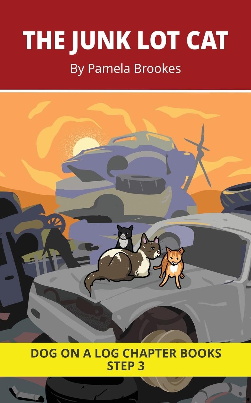 The Junk Lot Cat Chapter Book