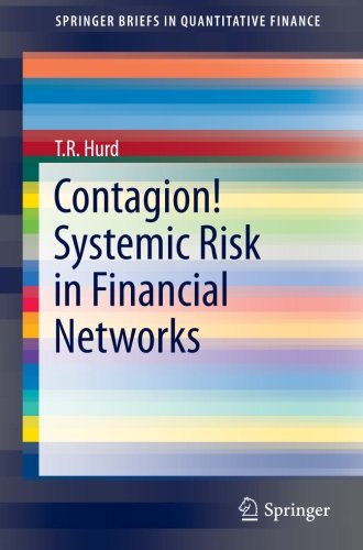 Contagion! Systemic Risk in Financial Networks (SpringerBriefs in Quantitative Finance)