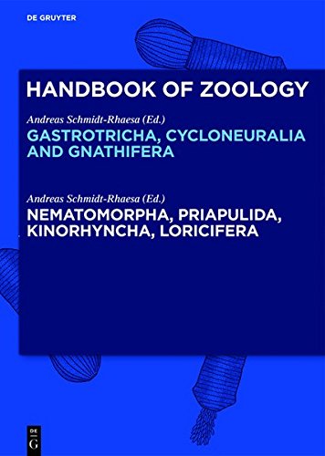 Handbook of Zoology/ Handbuch der Zoologie. Handbook of Zoology. Gastrotricha, Cycloneuralia and Gnathifera: Nematomorpha, Priapulida, Kinorhyncha, Loricifera