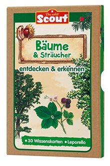 Scout Lernkarten-Box - Bäume & Sträucher: entdecken & erkennen