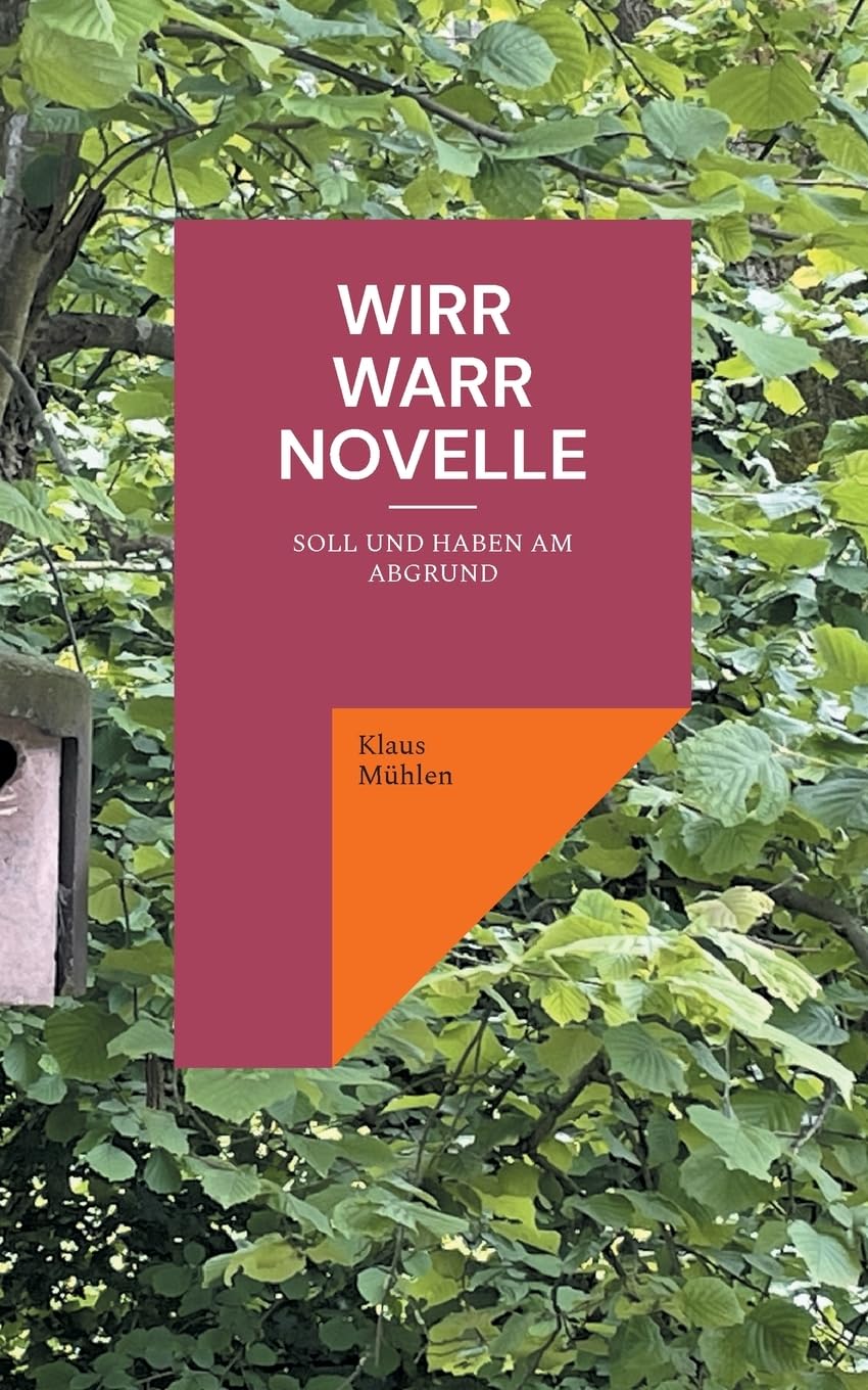 Wirr - Warr Novelle: Soll und Haben am Abgrund