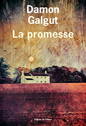 Damon Galgut La Promesse