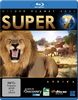Wilder Planet Erde - Super 7: Africa [Blu-ray]